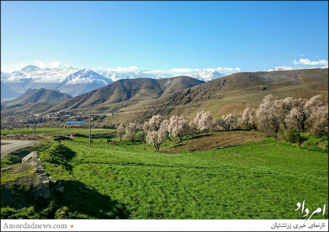 نمایی از سرسبزی پیرامون روستای پریان