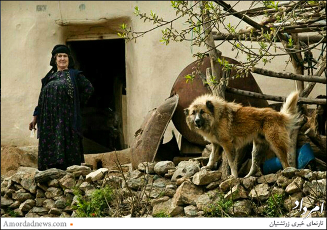 مردم روستای پریان به زبان اورامی سخن می‌گویند