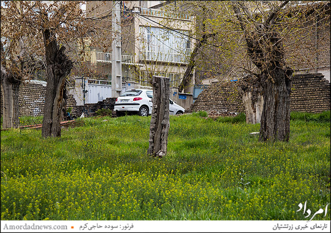 کوچه‌باغ‌های تهران روزهای خاموشی و فراموشی را پشت سر می‌گذارند