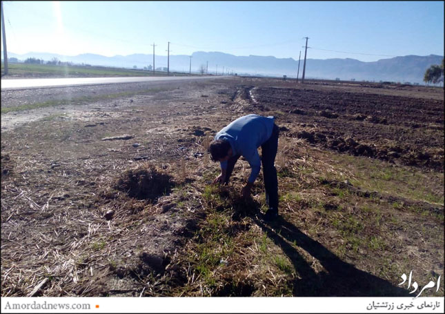 مرمت حمام مشیر، از سوی دلسوزان میراث داراب 12 12