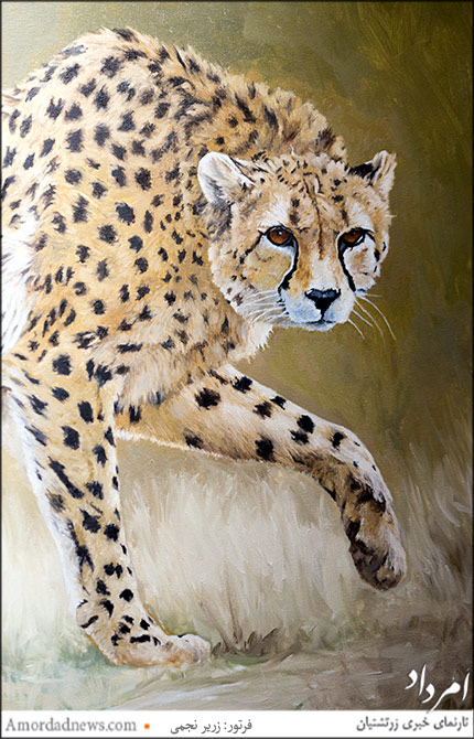 &laquo;کوشکی&raquo; (یوزپلنگ آسیایی - نیمه تکمیل)، اثر امید بختیاری