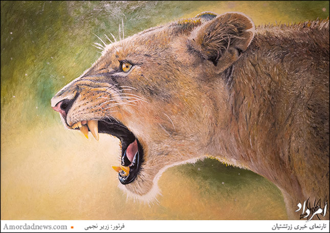 &laquo;ماده&zwnj;شیر&raquo;، اثر شمس خلیلی