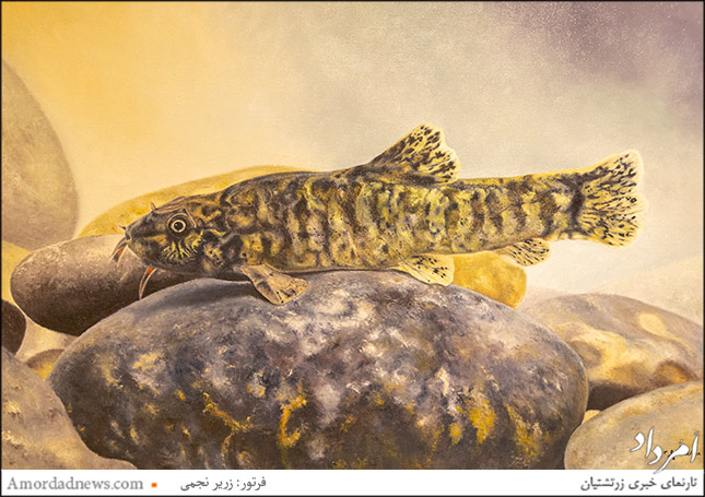 &laquo;لوچ کیابی&raquo;، اثر سودابه گلزاریان پور