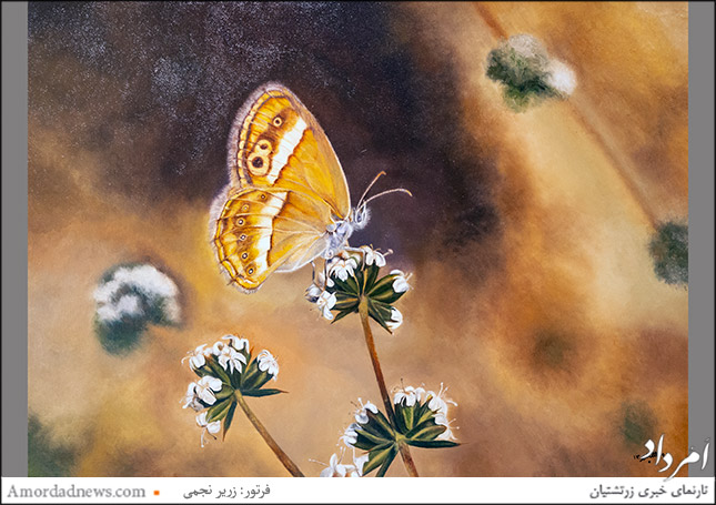 &laquo;پروانهٔ سعدی&raquo;، اثر سودابه گلزاریان پور