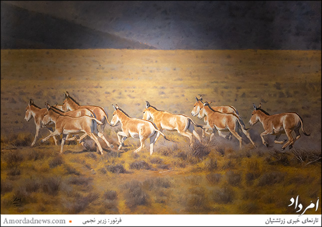 &laquo;گور ایرانی&raquo;، اثر امید بختیاری