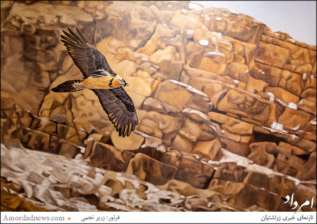 &laquo;هما&raquo;، اثر امید بختیاری