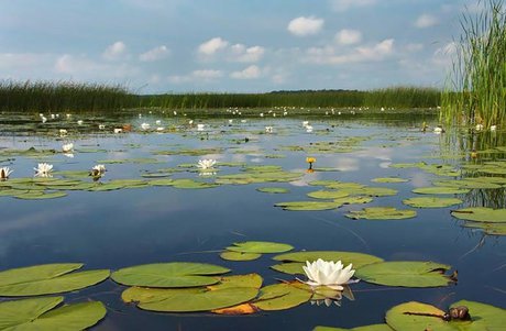 سراب نیلوفر کرمانشاه