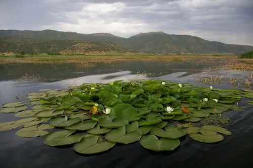تالاب زریوار کردستان