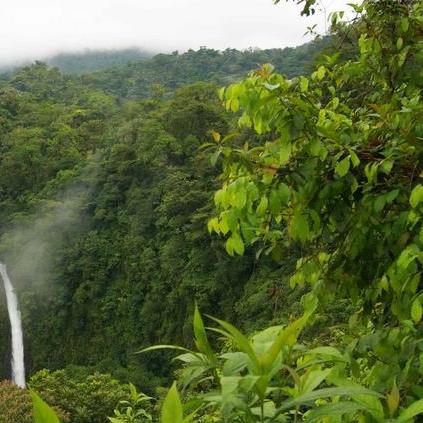 1573295336hirkani jungle