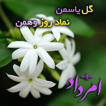 وهمن امشاسپند 2