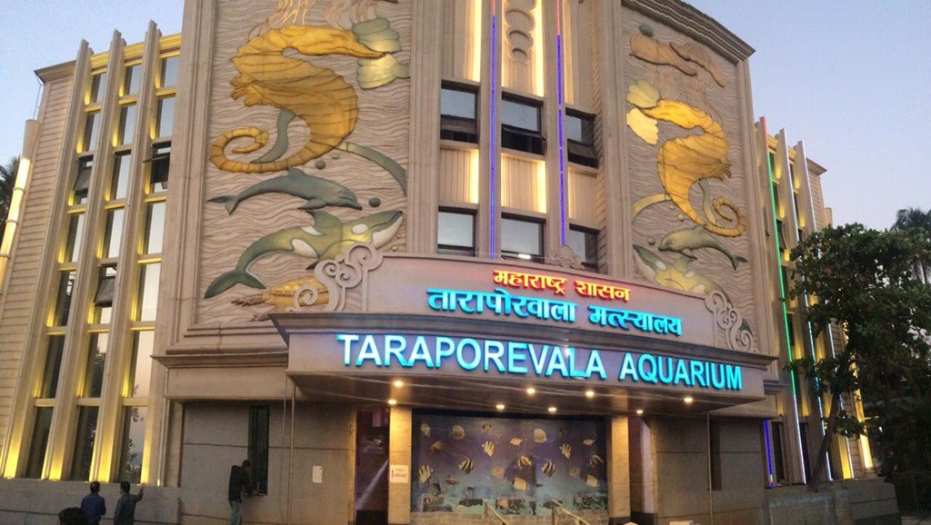 photo 2025 05 07 12 51 02