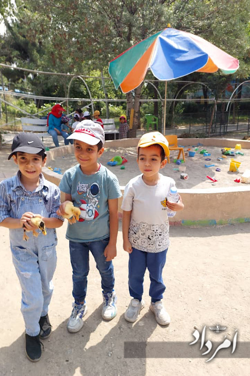 IMG 2025 06 11 194500