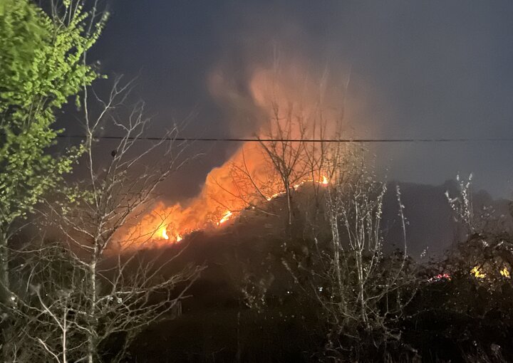 آمار آتشسوزی جنگلهای ایران 2 5428587