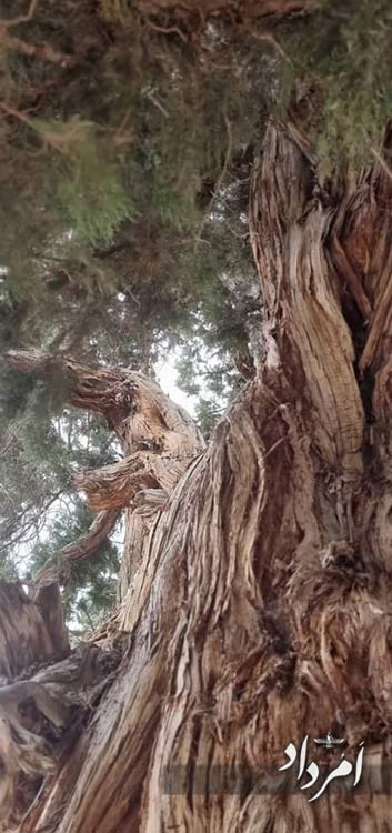 0c7cffe8 fdc5 47e2 9187 2832d4554820