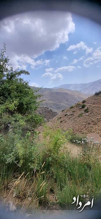 14f60fc6 beb3 4a05 8466 74a093ce8551