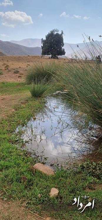 3420941b 2773 4ac4 a375 4934d0933d3f