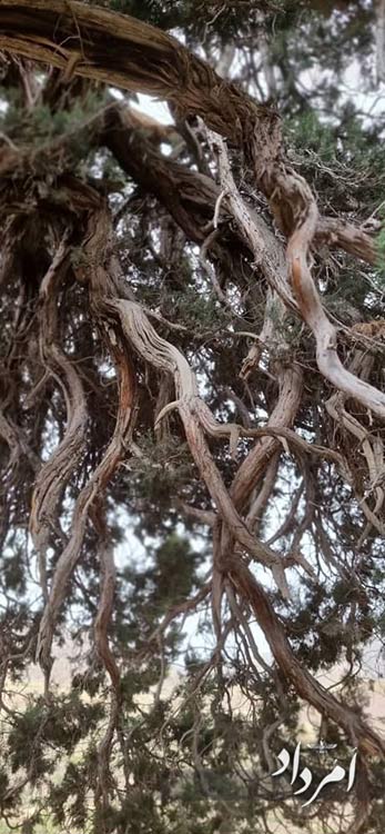 39bfa3a6 a4b9 4b0a b5c5 c56694ac85b9