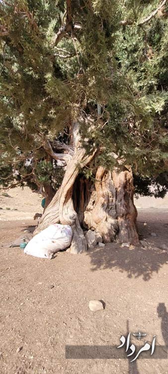 40d019c6 f757 4edf bf81 67da9756bef5