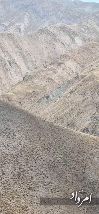 54202321 7545 4cf4 b7a0 3469cccd2605