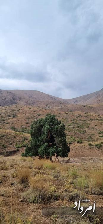 7216a85f 5a25 49c2 a2fe bbc8da2a2ed9