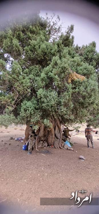 79563e87 205c 4acf 88fd 4373fe21e54d