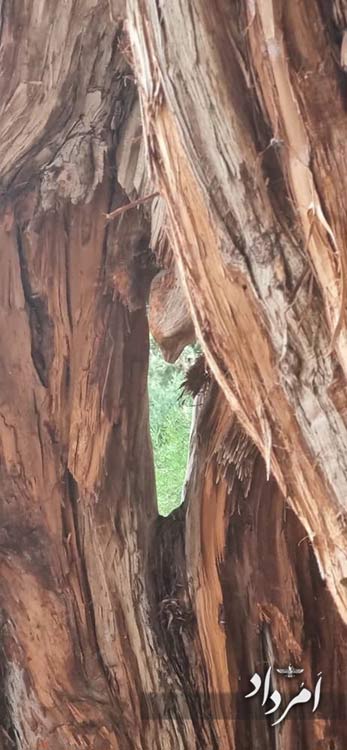 8573ab2e 82dd 47b9 8836 45cd3384224c