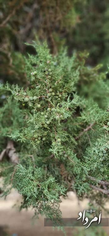 8b62e362 9378 47dd a6c6 c8fbca4b751d