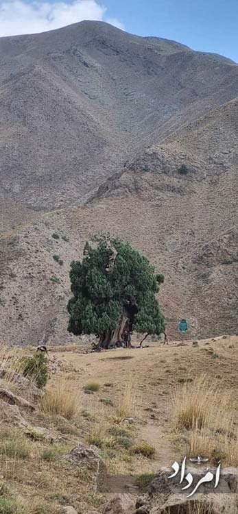 8db312a0 4e79 4015 99da e6d694129728