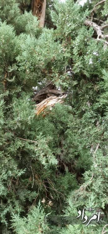 90de9946 621c 4a7f 88b0 df64d2a9d6d1