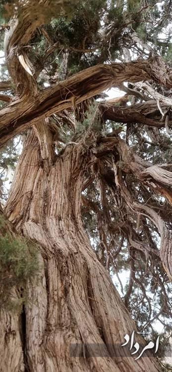 929d54e6 bc34 4f45 a53c 513de99e3d27