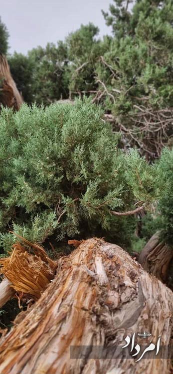 9612772e bd46 4840 ad39 6f2c539a3049