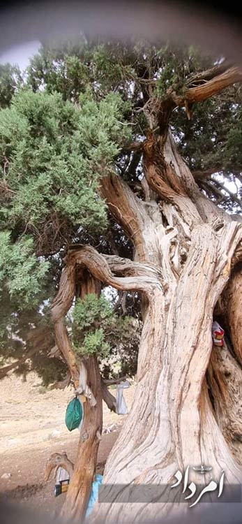 9ecefc68 c103 44cc b86f 0446abee7c00