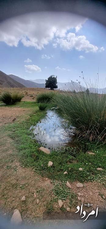 a411a324 a5ef 459f 9195 538492ec881e