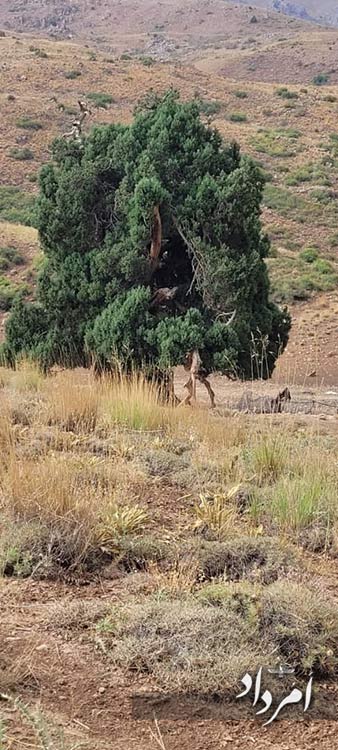 c53e6753 a3ab 45d9 9801 f164b0790fdc