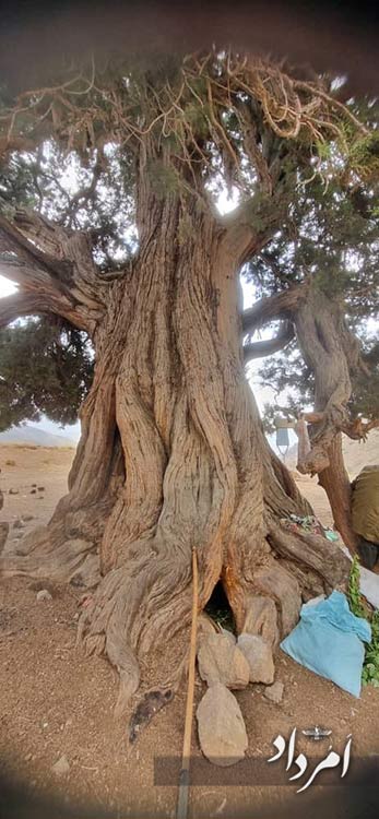 c668a167 3c8c 485e bb58 ee4a4c212d4a