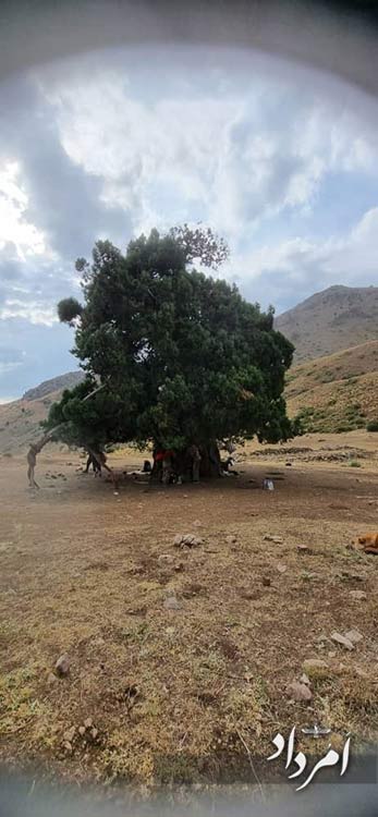 e6ae494d 2cfa 47f9 abc6 96914e74f440