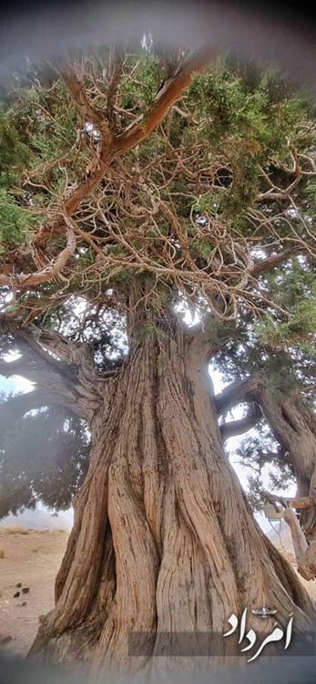 e8cdd308 67cc 40c4 a54b f6cde6595fe7