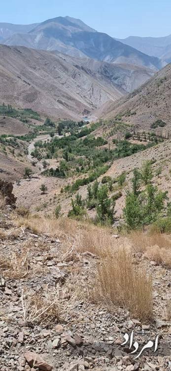 fff99748 1477 4c6d 8d22 0d5b26c029f8