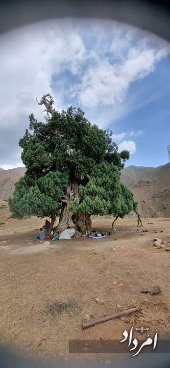 fffe108c b7b8 4119 8f12 2e1394e47e52