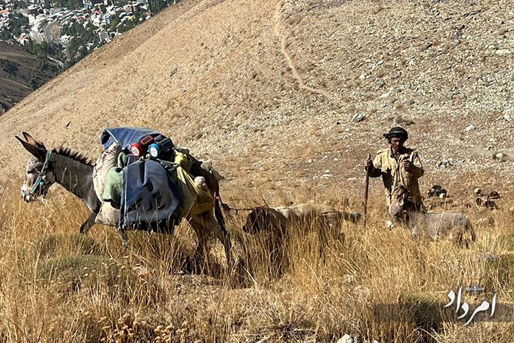 7dcf8180 a4b7 4d6e a57e 6ef7795855dd