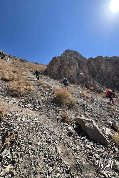 8c2ada3b f681 431a b970 e8fc56864fcf