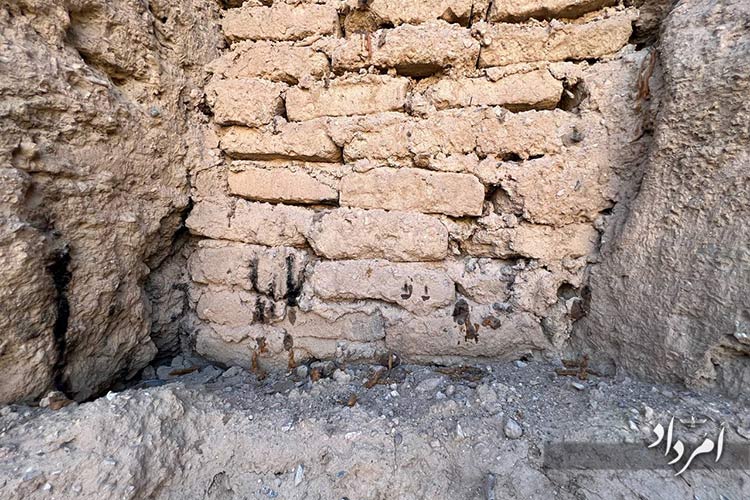 WhatsApp Image 2025 09 11 at 10.40.59 AM