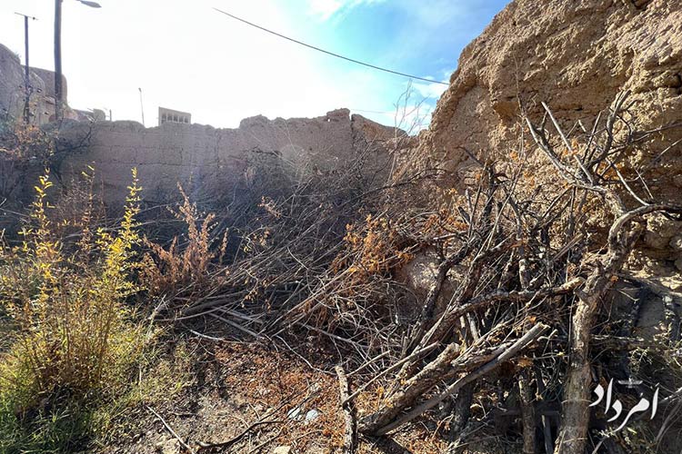 WhatsApp Image 2025 09 11 at 10.41.00 AM 1