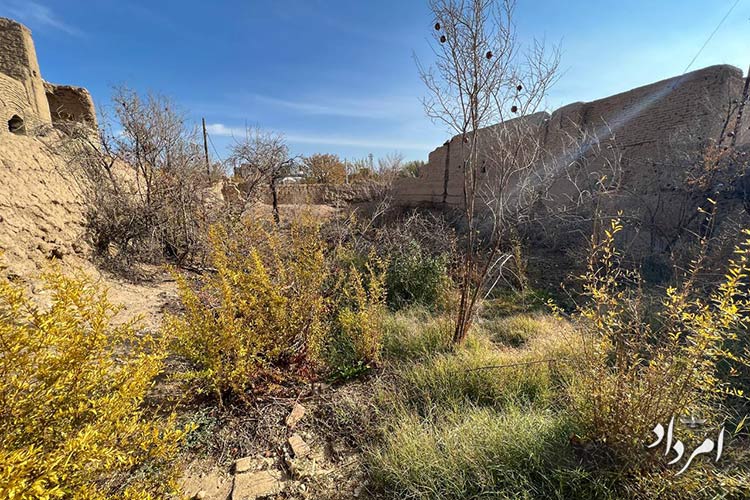 WhatsApp Image 2025 09 11 at 10.41.00 AM