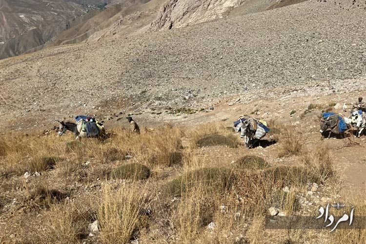 d6d204c1 984b 47b4 947e ee1e09b023a1