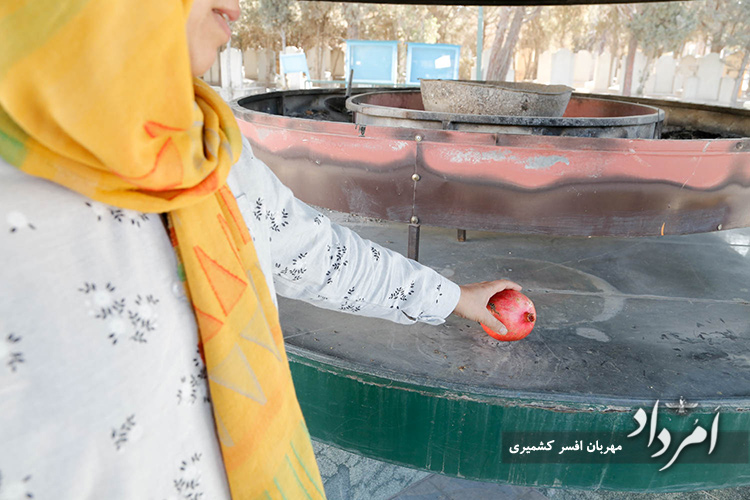 آرامگاه قصر فیروزه با همازوری سازمان فروهر پاکسازی شد 35 35 14