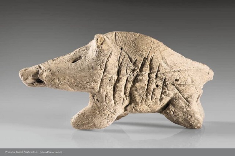 نمایش دندان 40 هزارساله در نمایشگاه روایتگران ایران کهن 2 63607510