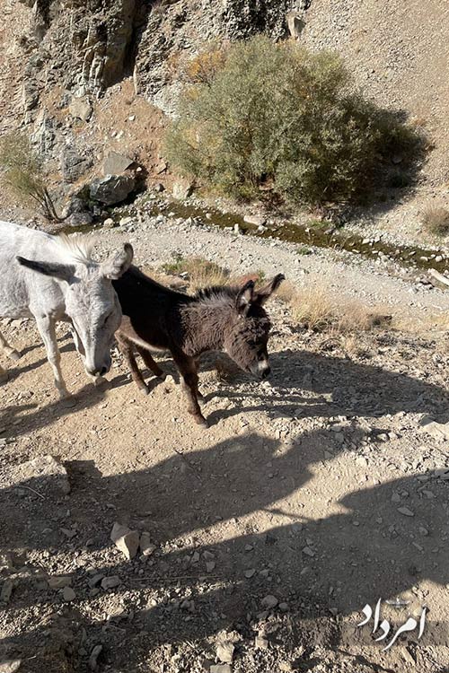 WhatsApp Image 2025 10 16 at 7.43.33 PM 1