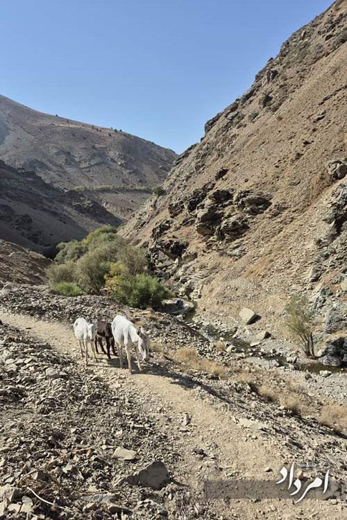 WhatsApp Image 2025 10 16 at 7.43.33 PM