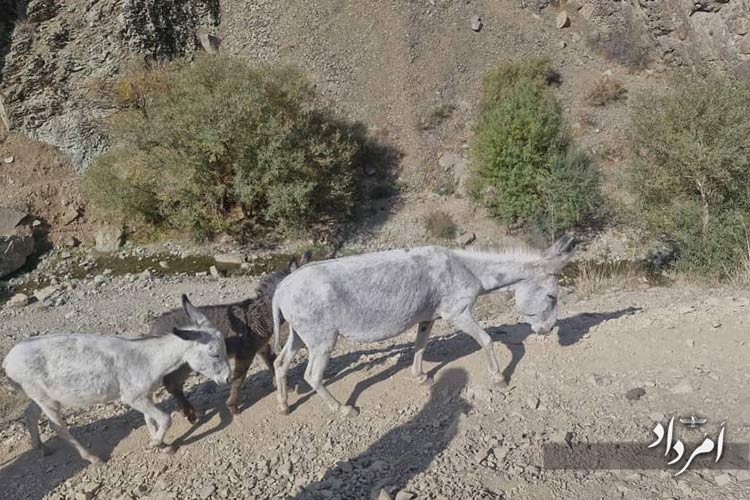 WhatsApp Image 2025 10 16 at 7.43.35 PM 1